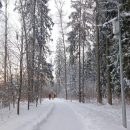 f1912a7e-ab9d-4097-bdd1-f4e2c284e31d